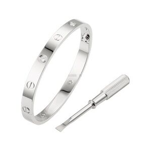 Stainless Steel Screw Cuff Bangle Love Bracelet with 4 Stones and Screwdriver